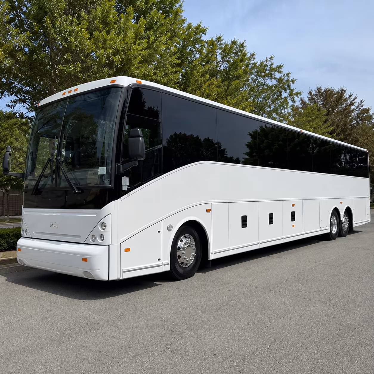 bachelorette wine tour buses in and around palm coast