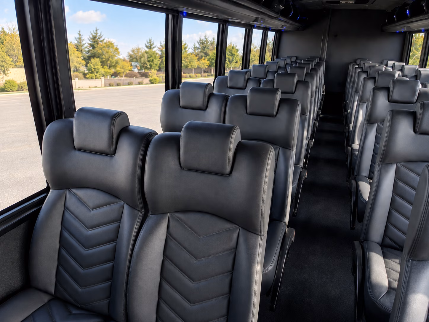 palm coast 18 passenger minibus inside