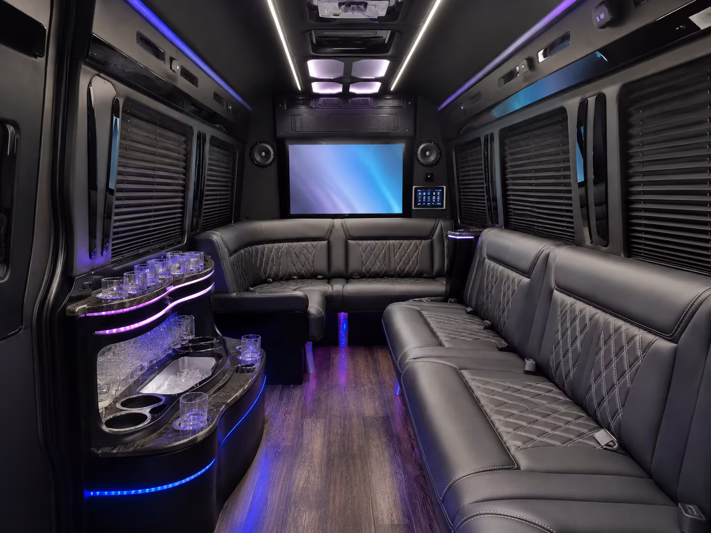 palm coast sprinter limousine interior