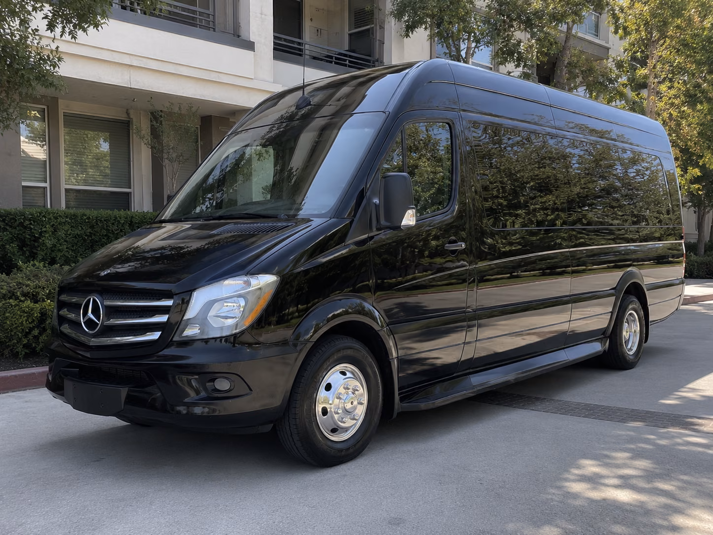 palm coast sprinter van with driver